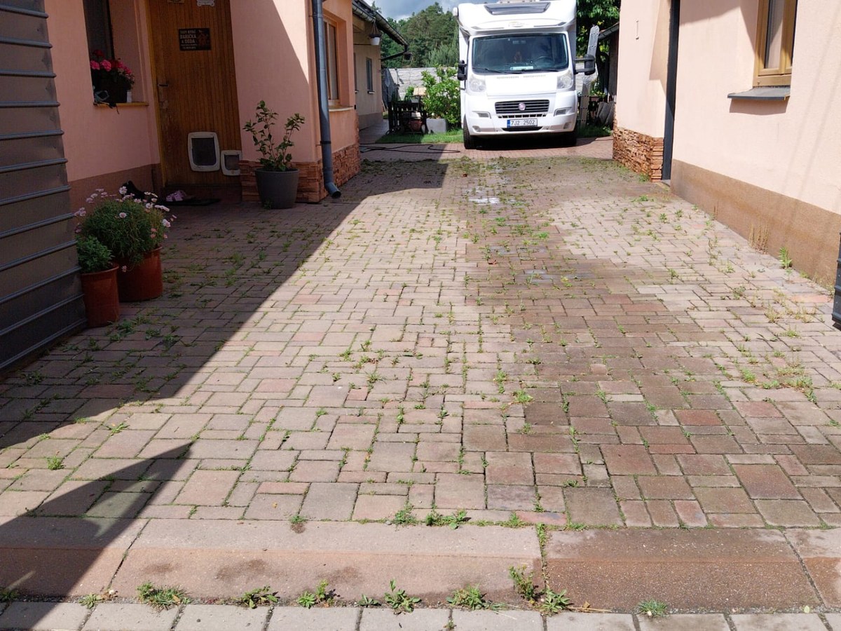 Zámková dlažba na dvoře před čištěním, zaplevelené spáry a zelený povlak